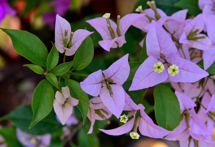 生肖|未来2年，好运翻涌，财气逆天，福气不浅，登上致富快车的4大生肖