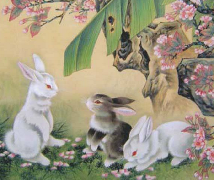 拆东墙补西墙：生肖兔，1月7日起必.有让.你“吃.惊”的大.事发.生