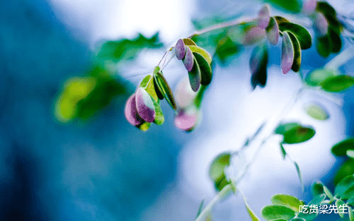 生肖▲分手后不联系，但会偷偷地关注前任，完全放不下的四大生肖