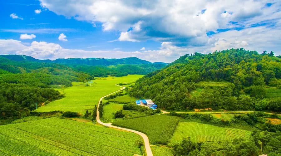 『生肖』5月底偏财连发，3大生肖贵人提携，一生富贵