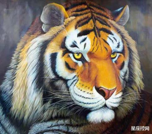 「生肖」2020年，闯出一片天，4生肖时机已到，下半年赚钱效率更高