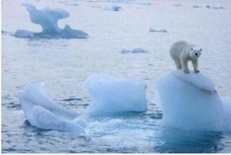 『全球变暖』全球变暖将停止,全球要开始变冷了?专家:将会冷得离谱