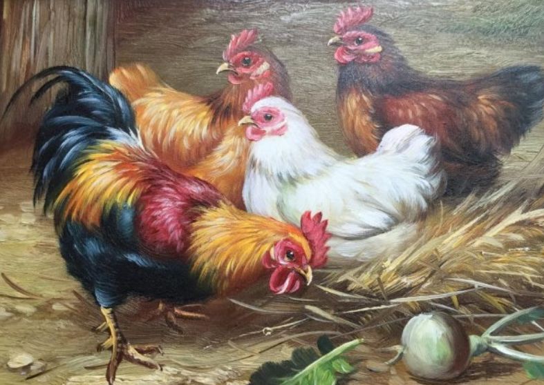 「星座男」生肖鸡,熬过这两天,后天开始吉吉吉!鸡鸣而起!