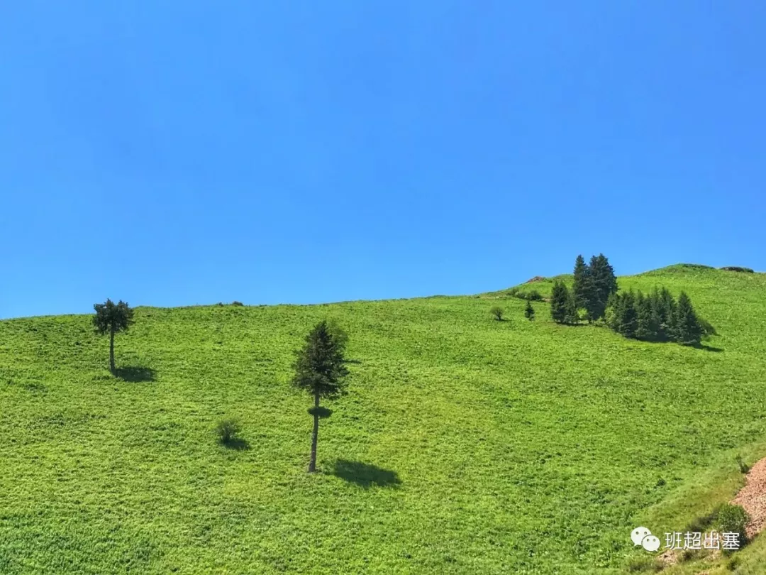 『新疆维吾尔自治区』遗憾的是，你听过独库公路，却不知道_____（一）