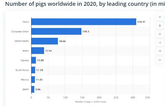 [猪肉]猪业大地震，全球缺猪！