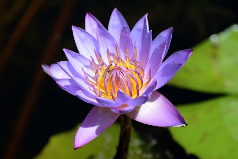 属鸡|9月17日财神爷送财，3生肖横财大发，天天数钱，要发大财啦！