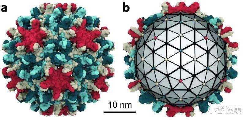 纳斯卡|乙肝在研新药Cas9，法国科学家研发，靶向基因组永久性变化