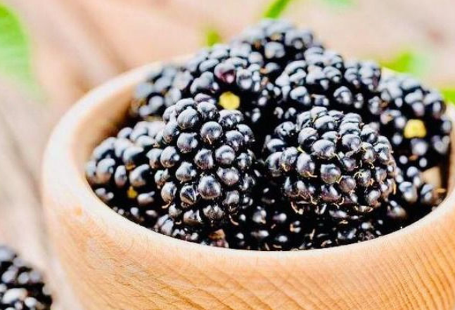 男性不愿老得快，多吃4种食物，滋肝补肾，养护血管，延缓衰老