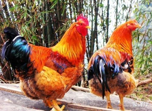 【】新冠病毒弱爆了？专家警告：“世界末日病毒”能杀死全球一半人口