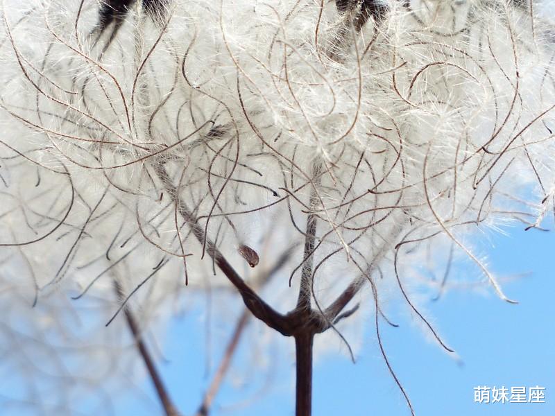吉星|下半年贵人相助，事业蒸蒸日上，爱情甜蜜的4大生肖！