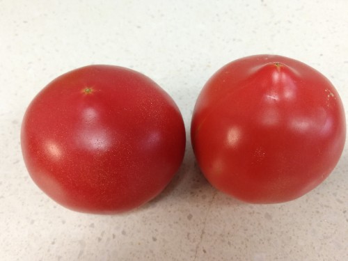 [西红柿]买西红柿就挑“母”的，沙甜又多汁，学会这4招，一挑一个准