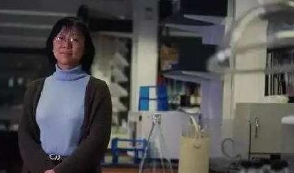 高考状元■她曾是我国高考状元,赴美深造却一去不回,现在已成为国际权威