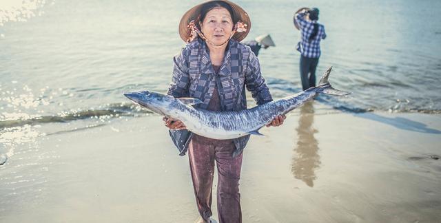 为讨好美国不择手段，东南亚“白眼狼”终后悔！呼吁中方不计前嫌