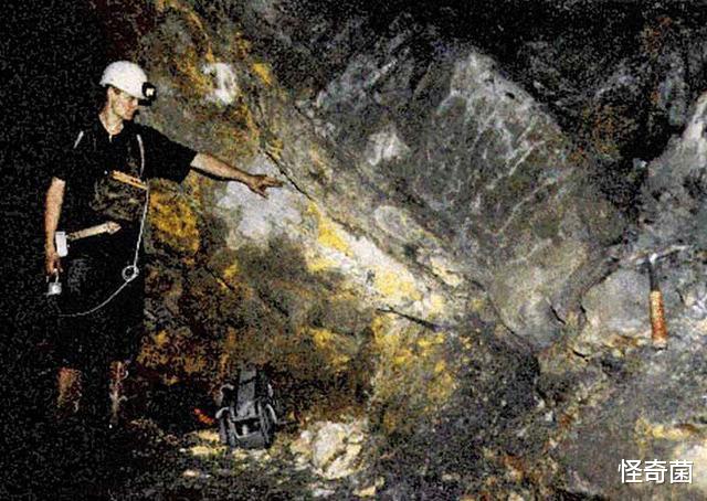 科学家|科学史上四大谎言，全部是假的，却还有人深信不疑