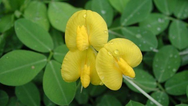 处女座|心地好，为人比较坦荡的星座，不是自己的东西，就不会强求