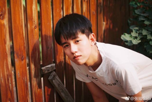 张耀|再有耽改剧要拍，四部新剧齐营业，演员选择太重要