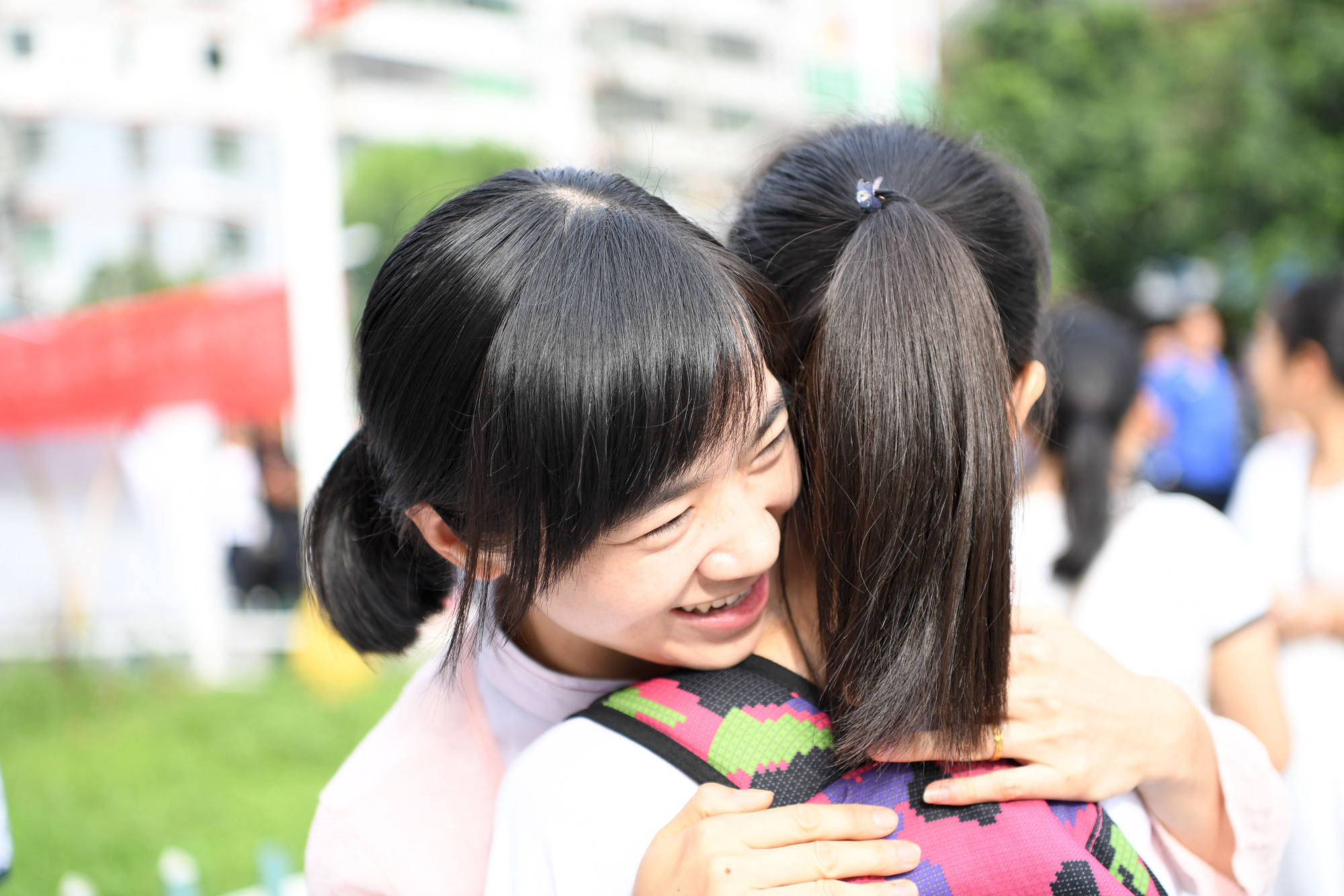 教育部|志愿填报要不要找专家？教育部明确说不！