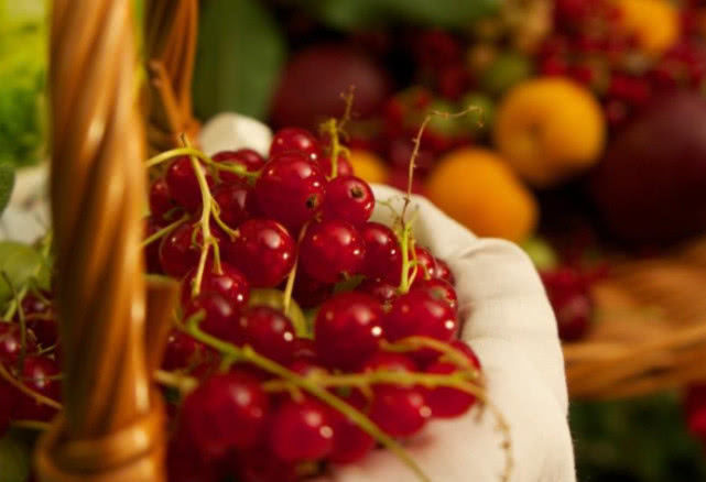 生肖@6月底月老暗助，桃花运盛开，觅得挚爱，感情生活甜蜜的三个生肖