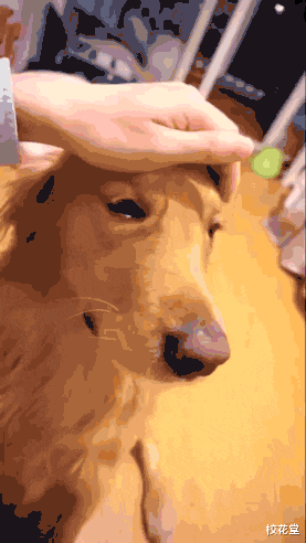 |妹子，你们头上戴着钢丝球在哪买的？哈哈