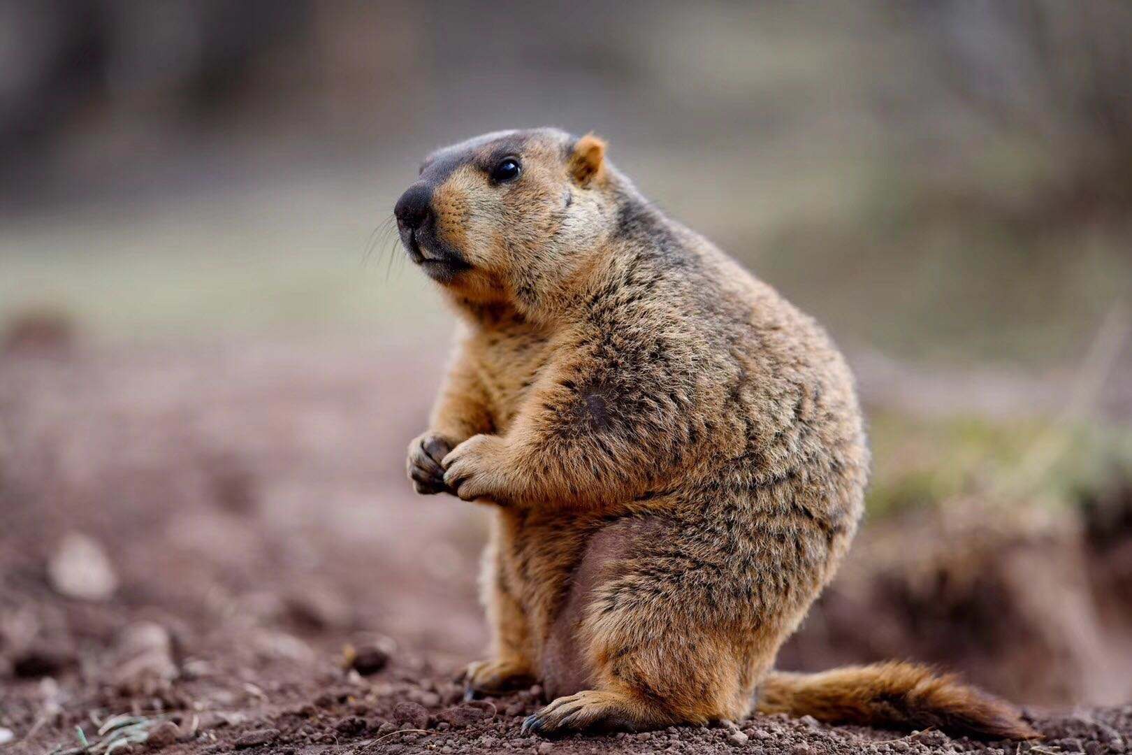 川西|色达天葬台，一个让人直视死亡的地方，感受生与死的震撼