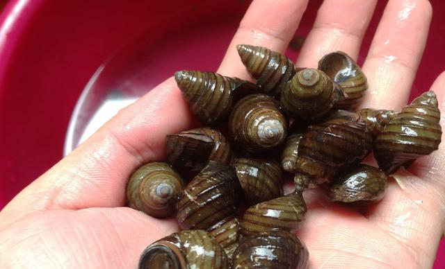 垂钓青鱼：不开口，经常切线问题应对方法分享