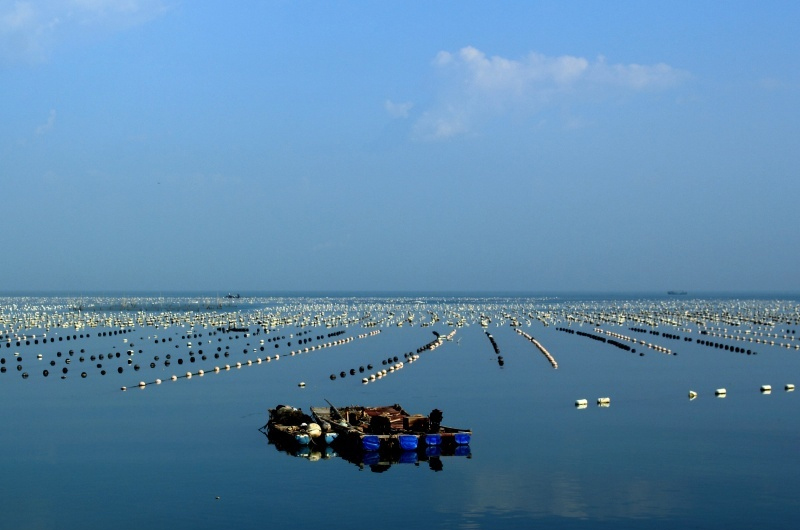 南澳岛■汕头到南澳岛，沿路风景无限好，不愧是拥有海岸的景点