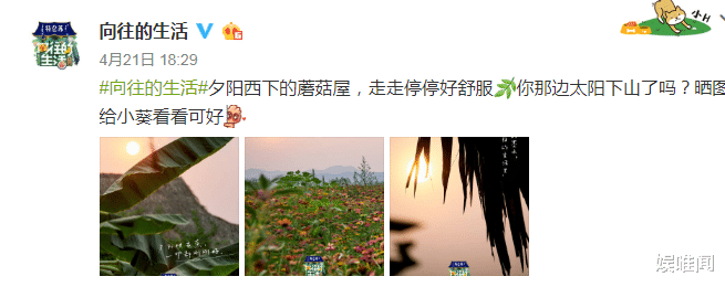 刘宪华■《向往4》已官宣！刘宪华再缺席，两个原因让他和蘑菇屋渐行渐远