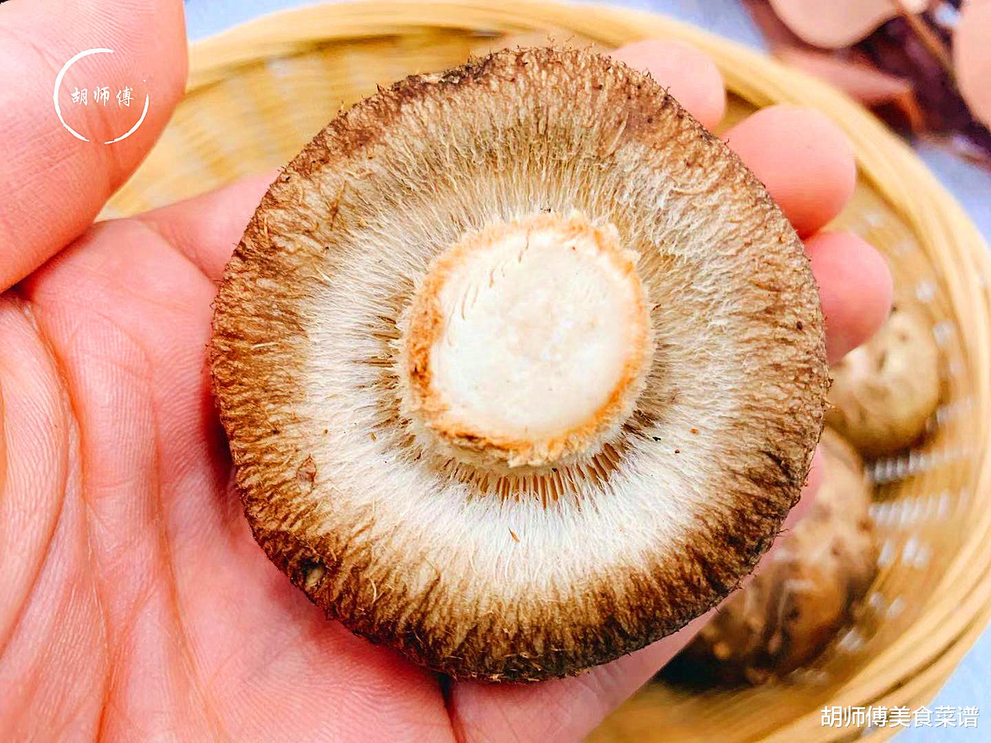 香菇|明天小雪，别忘了吃3白、3黑，少食3样，助家人顺利度过寒冬