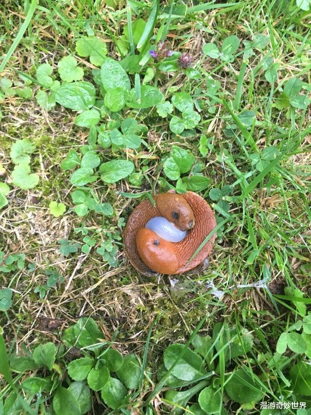 []网络有多恐怖？你问什么，万能的网友都能解答！