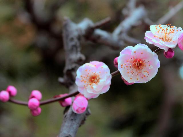 绝情:这3个生肖女,攒不住钱总喊不够花,希望没有你