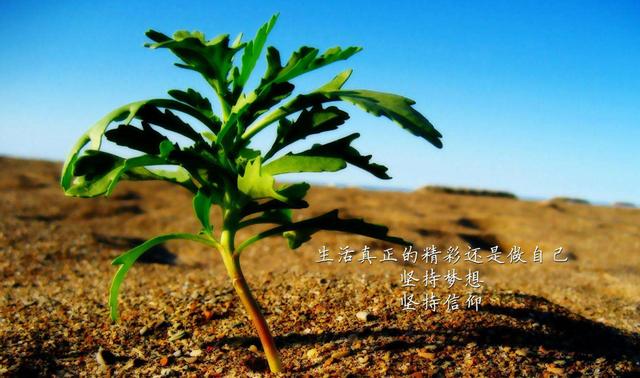 自媒体|鹏军:如入10K,告诉你新手玩自媒体,是兼职还是全职做?