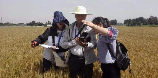 越南▲不信谣、不恐慌。我们的粮食，真的很多！