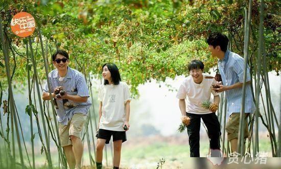 「向往的生活」在《向往的生活》“耗下去”中的彭昱畅还有前途吗？