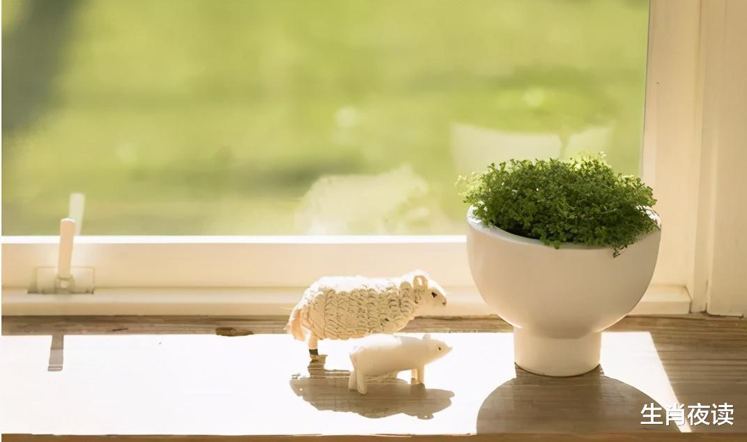 生肖|11月，兜兜转转，依旧是你，3生肖情火未灭，心有独钟，念念不忘