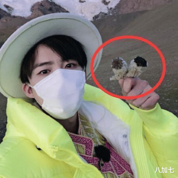 综艺节目|一朵雪莲花炸出国内综艺节目套路！爬四千米高峰只为寻找节目组安排的道具？