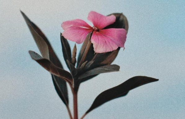 【】一句等孩子高考完我们就离婚，道出了她对你的绝望