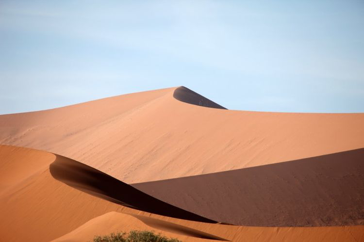 运势|8月，桃花朵朵开，姻缘降临，4大生肖牵手真爱，掉进爱情的海洋里