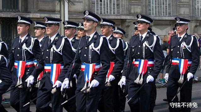 「鲨鱼」10个冷知识：大部分雄性高等动物，排泄和生殖共用一个器官