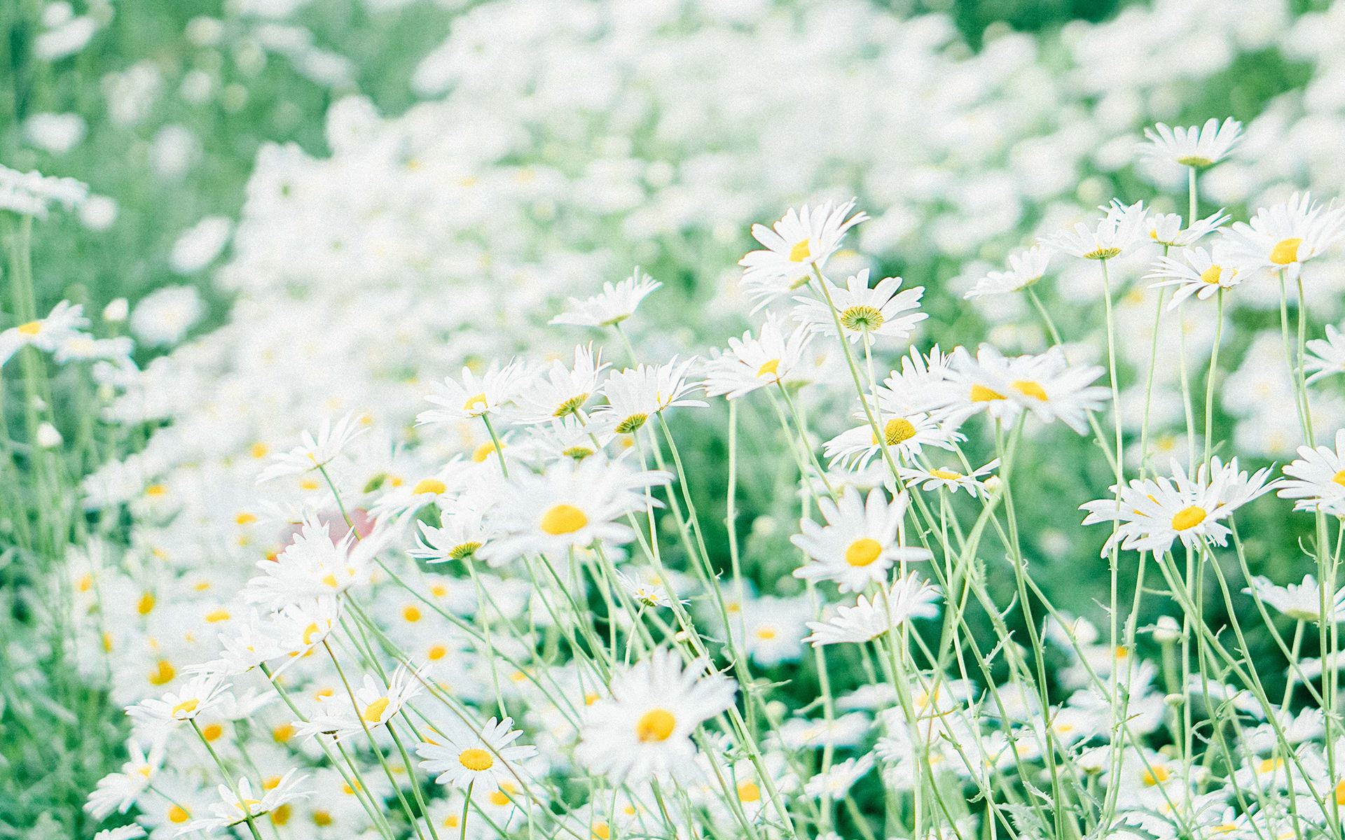 运势|10月，不要再对别人，满怀期待，3星座爱情算个屁，发财最要紧