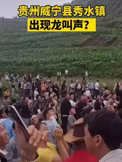 『贵州』破案了！贵州威宁“龙叫”，原是黄脚三趾鹑“发声”