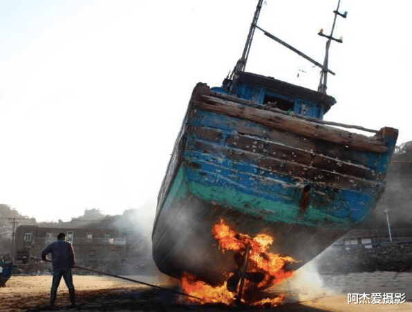 鲸鱼|藤壶为什么会跑到鲸鱼身上?它对鲸鱼有什么危害?