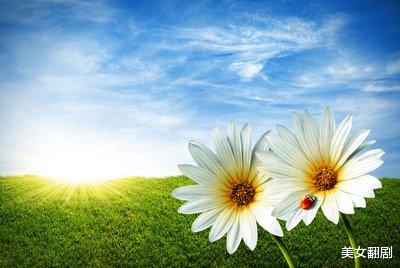 美女翻剧 一颗种子的成长记