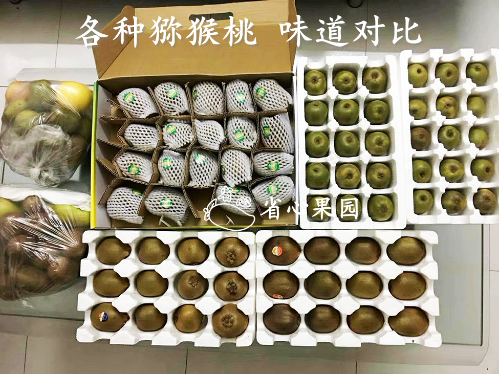 五花肉|如何才能做一个合格的吃货？