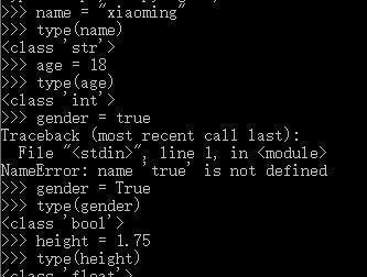 #罗永浩#第10天：杀出新手村是一种怎样的体验？