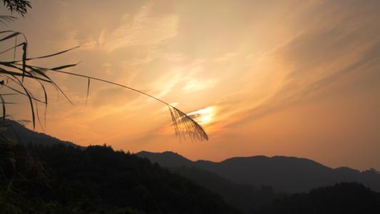 「十二星座」未来十天，往事如烟，梦碎难圆，与前任一刀两断重新寻爱的三星座