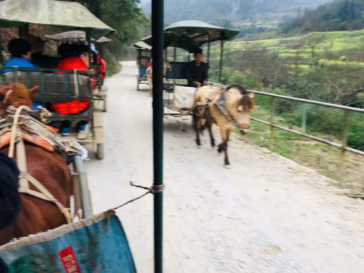 ：世外桃源——坝美