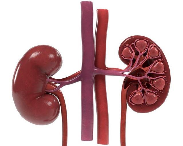 「熬夜」5个不良行为，让肾脏变得伤痕累累，尽早改掉，别等肾彻底坏透