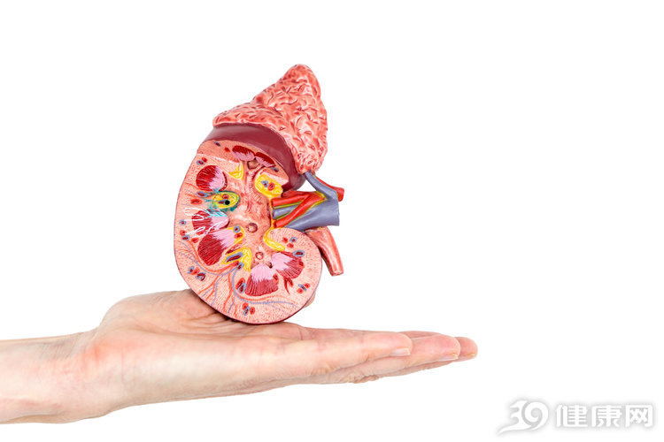 肝脏@肿瘤科医生：频繁出现3种迹象时，可能是肾癌扩散进入晚期了