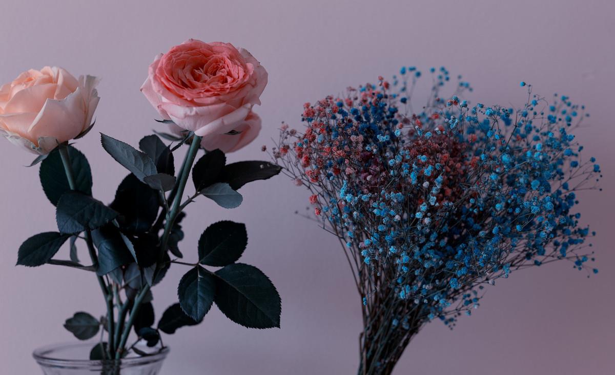 运势|8月爱情运势最好的星座,感情生活顺利,享受恋爱的幸福