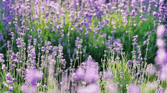 「旅行」6月最值得去的十大旅行地！